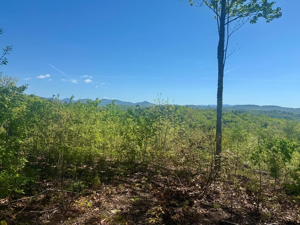 51 51 Wayah Ridge Property Photo 1