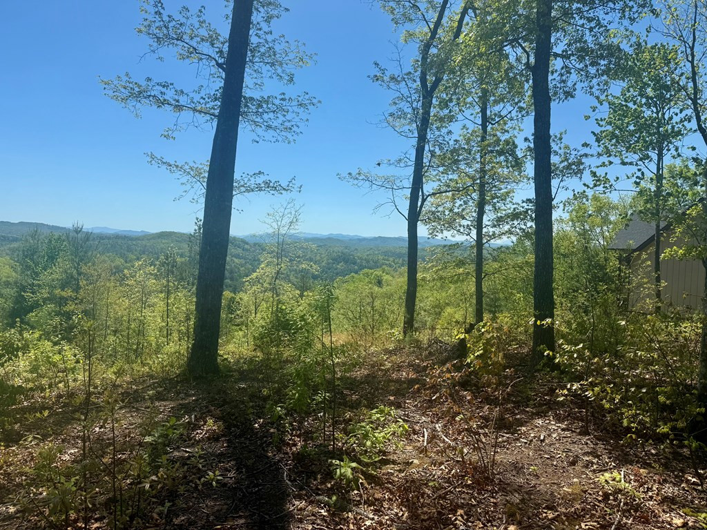 51 51 Wayah Ridge Property Photo 2