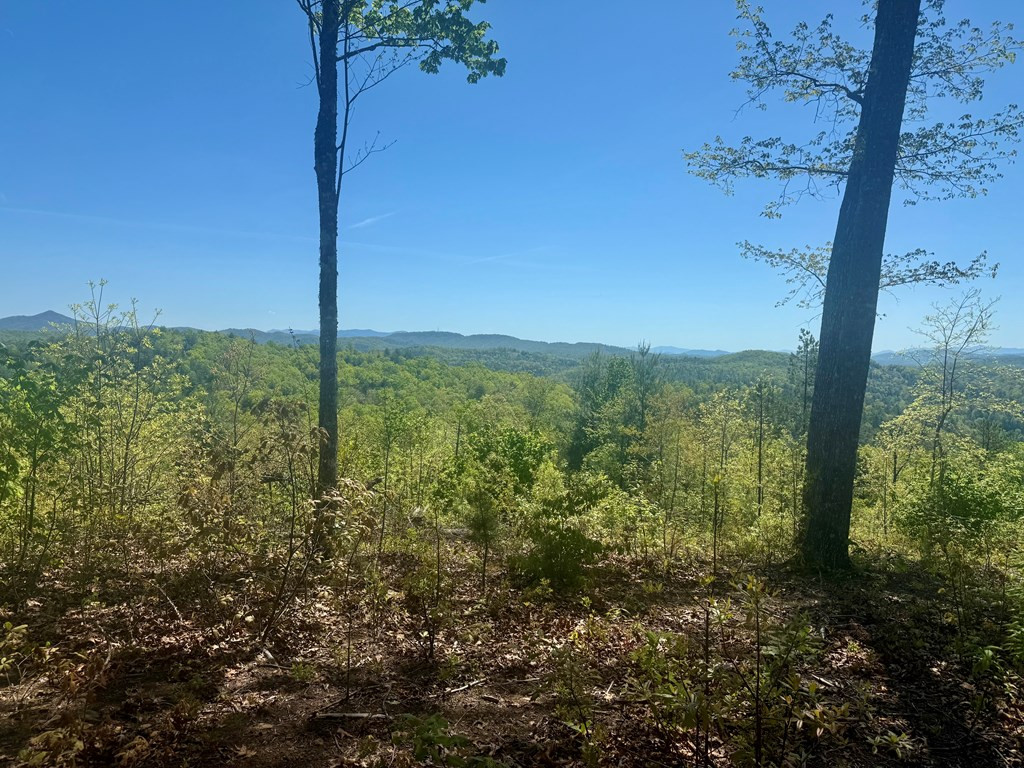 51 51 Wayah Ridge Property Photo 3