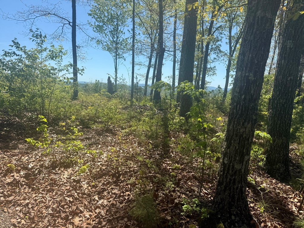 51 51 Wayah Ridge Property Photo 4