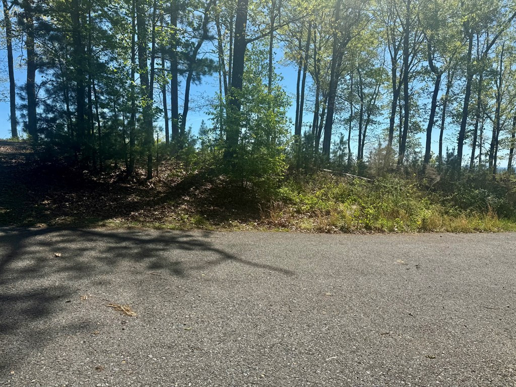 51 51 Wayah Ridge Property Photo 5