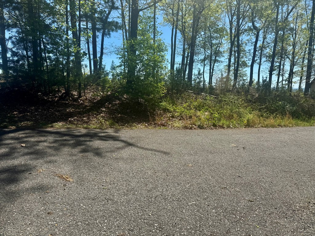 51 51 Wayah Ridge Property Photo 6