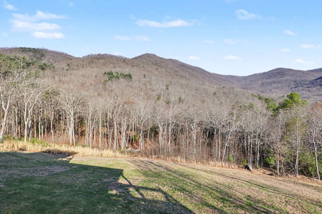 4760 Anderson Road Property Photo 22