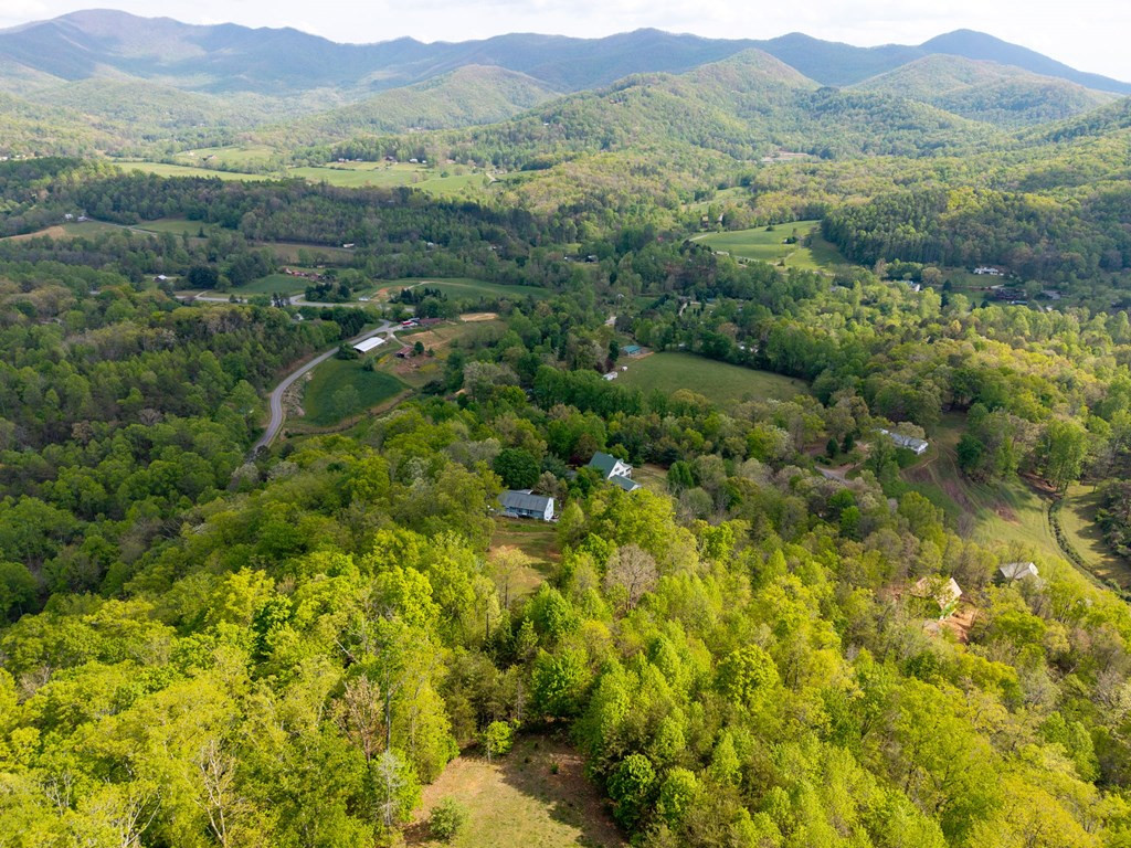 619 Pounding Mill Loop Property Photo 13