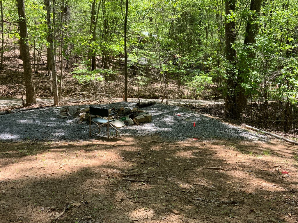 433 Damon's Trail Property Photo 3