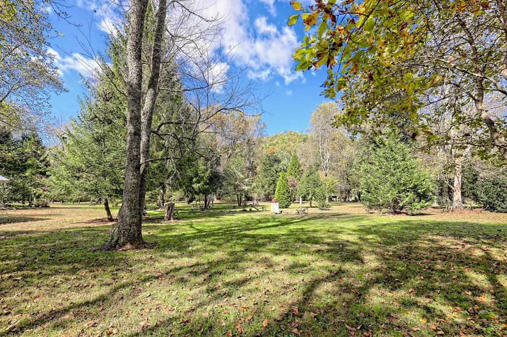 1064 Muskrat Creek Road Property Photo 48