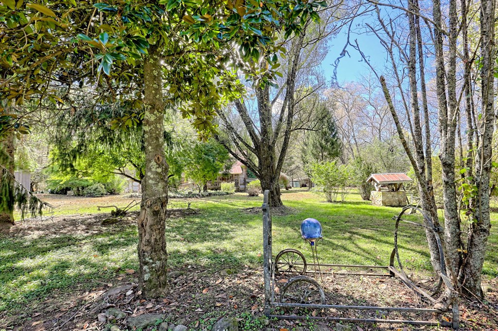 1064 Muskrat Creek Road Property Photo 49