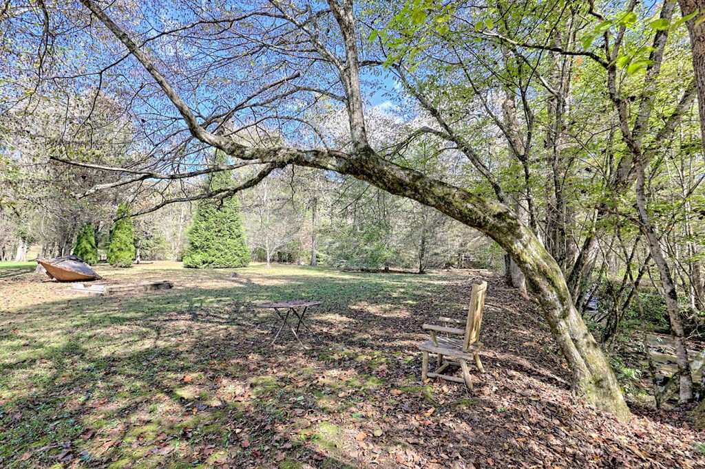 1064 Muskrat Creek Road Property Photo 51