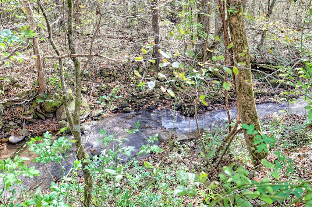 1064 Muskrat Creek Road Property Photo 52