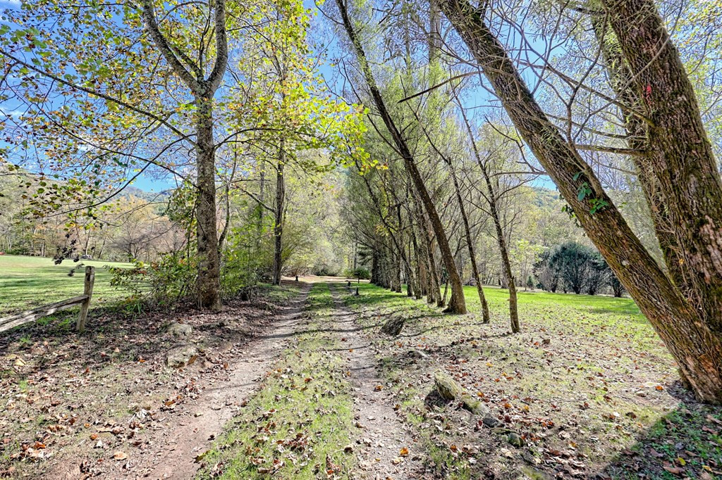 1064 Muskrat Creek Road Property Photo 57