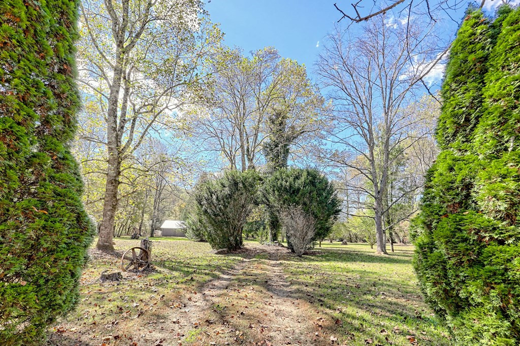 1064 Muskrat Creek Road Property Photo 58