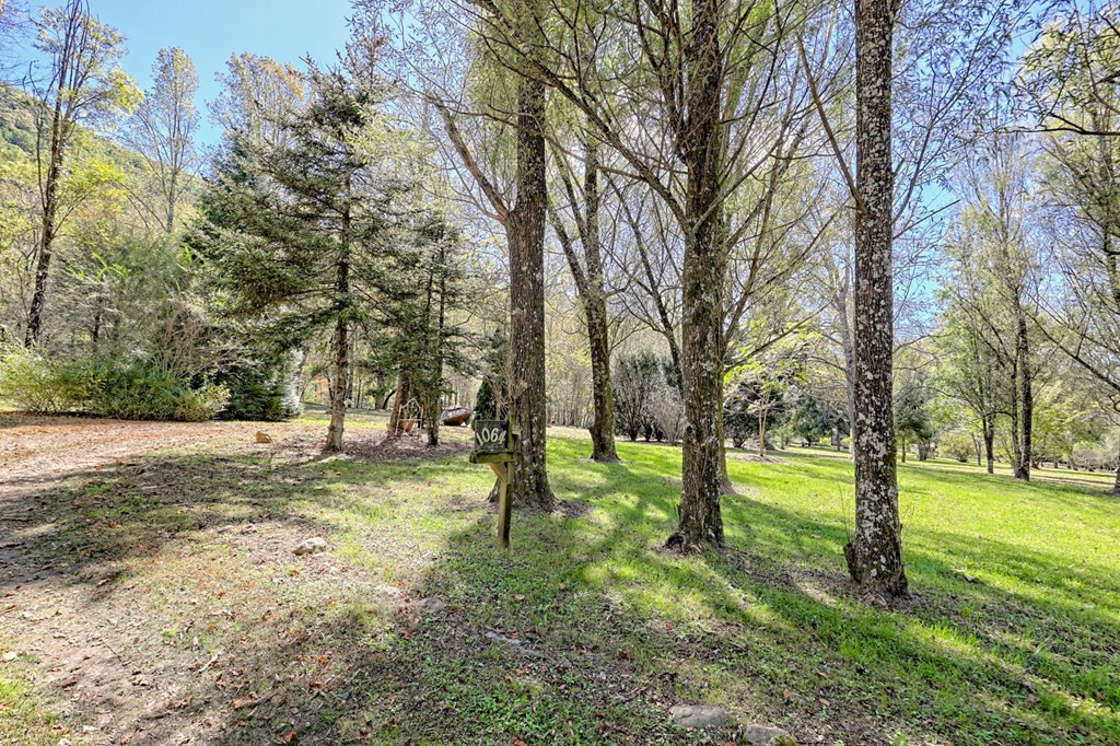 1064 Muskrat Creek Road Property Photo 59