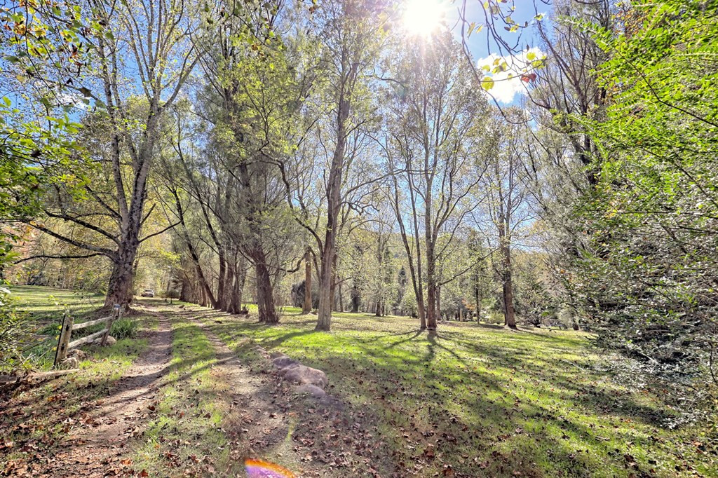1064 Muskrat Creek Road Property Photo 61