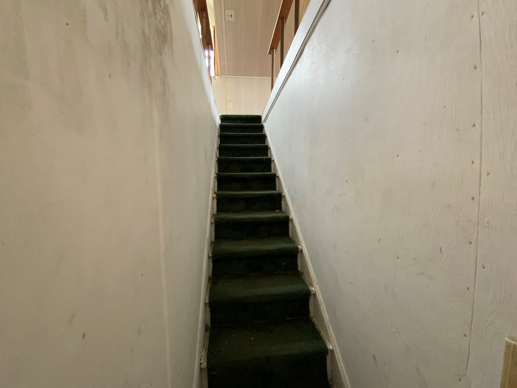 4 Boyd Street Property Photo 29