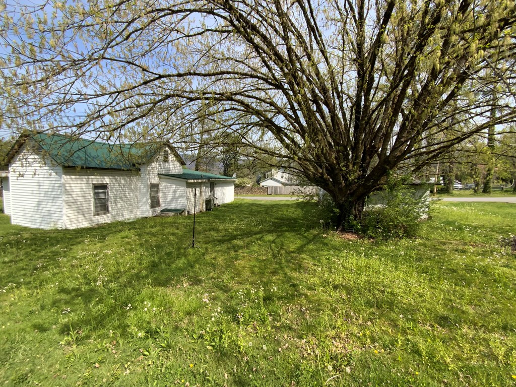 4 Boyd Street Property Photo 38