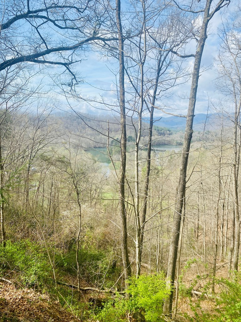 26 Hidden Falls Trail Property Photo 3