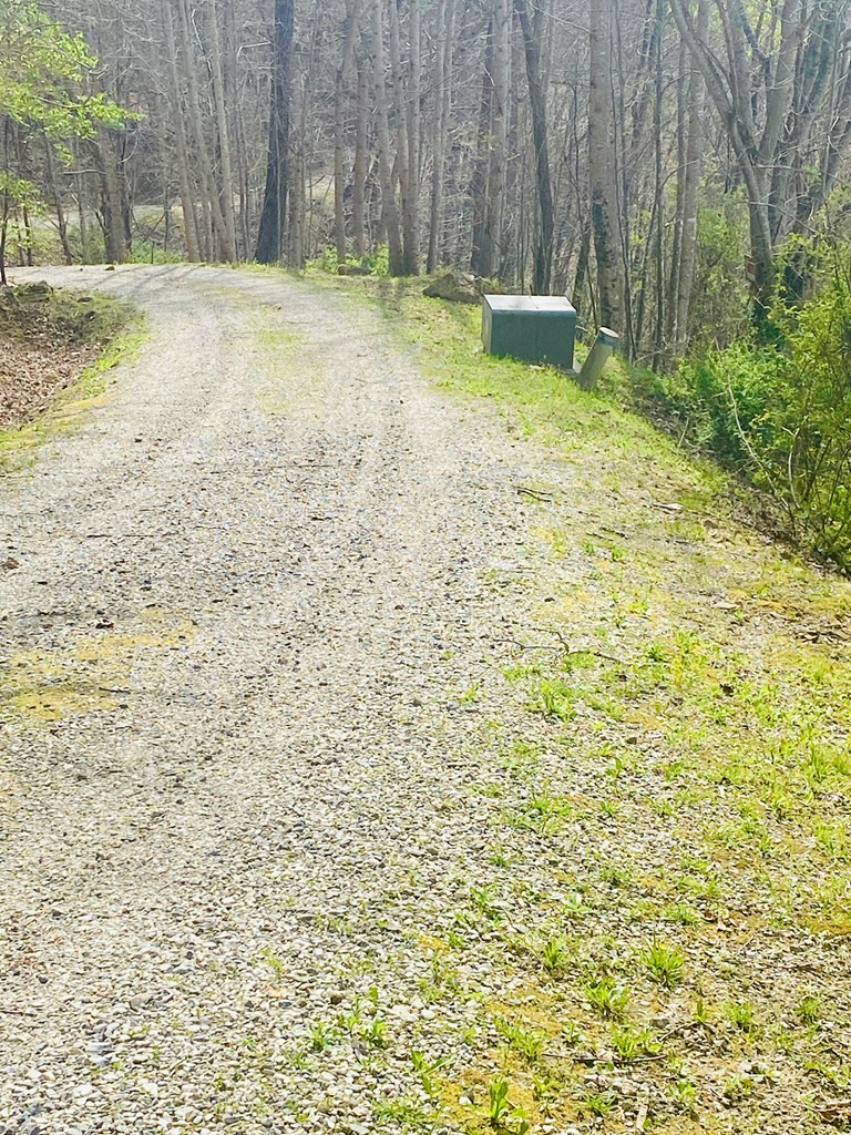 26 Hidden Falls Trail Property Photo 6