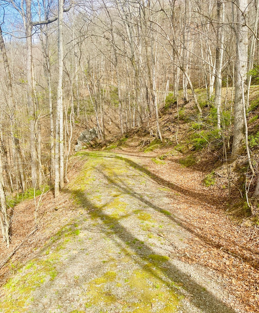 26 Hidden Falls Trail Property Photo 7