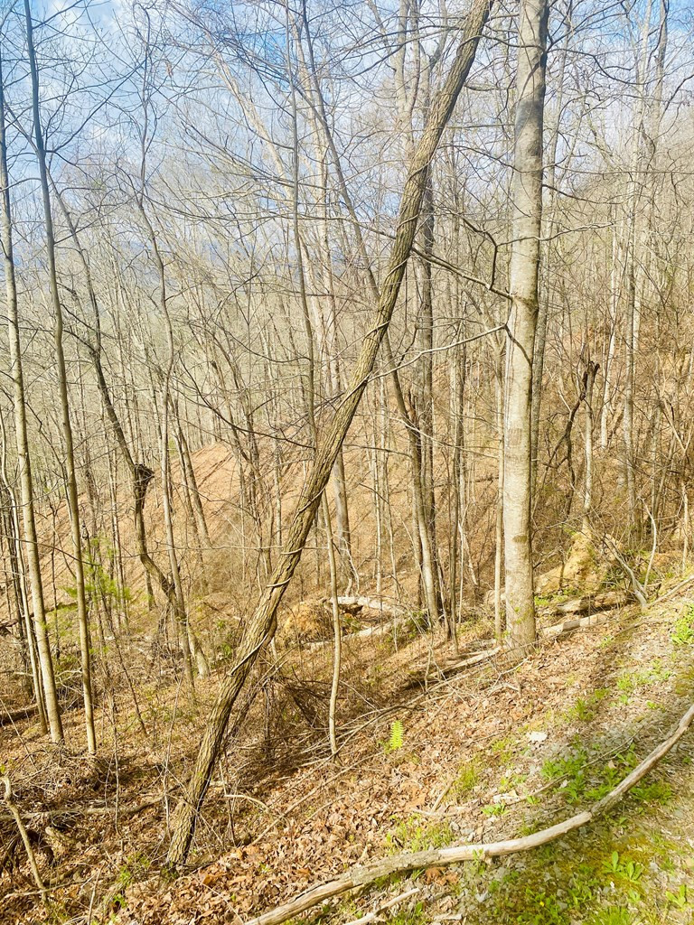 26 Hidden Falls Trail Property Photo 8