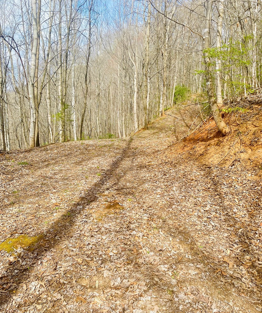 26 Hidden Falls Trail Property Photo 9