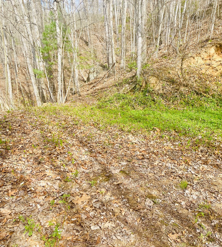 26 Hidden Falls Trail Property Photo 10