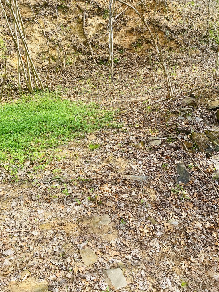 26 Hidden Falls Trail Property Photo 11