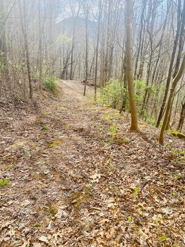 26 Hidden Falls Trail Property Photo 12