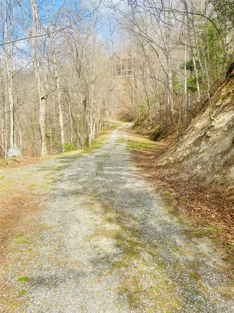 26 Hidden Falls Trail Property Photo 13