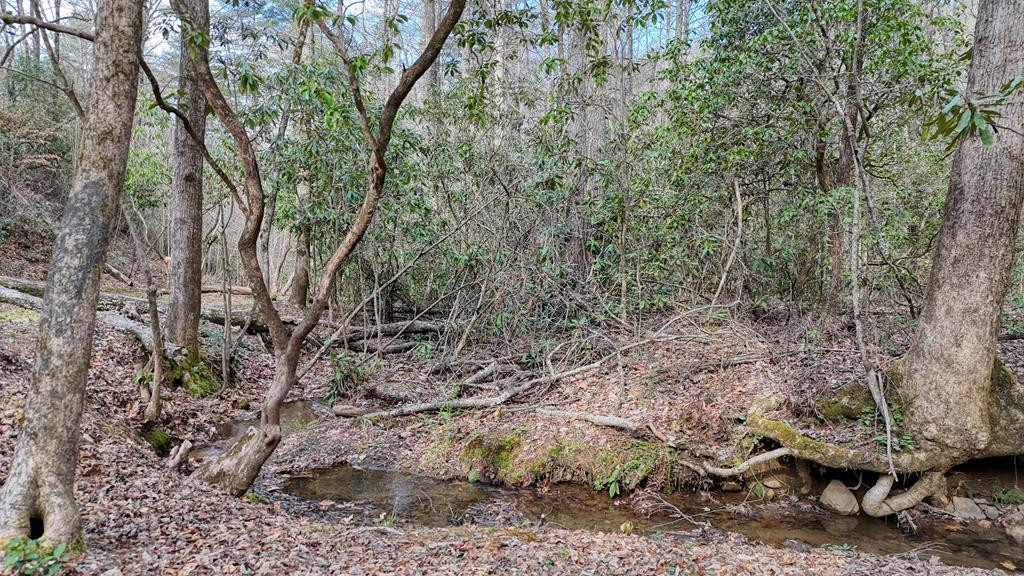 520 Farmer Drive Property Photo 122