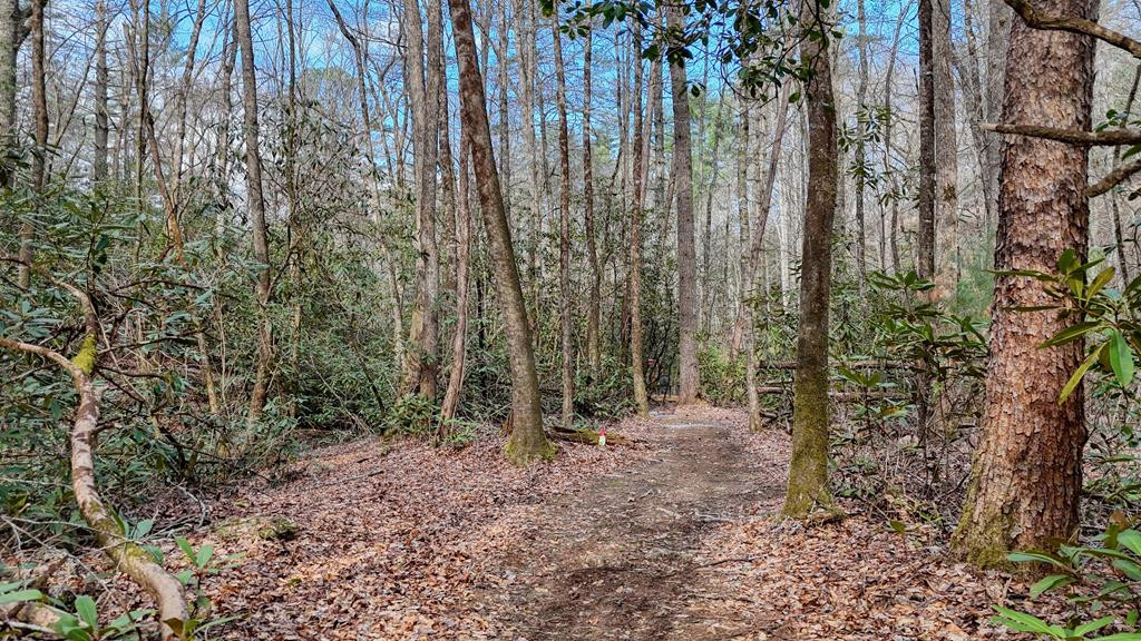 520 Farmer Drive Property Photo 130