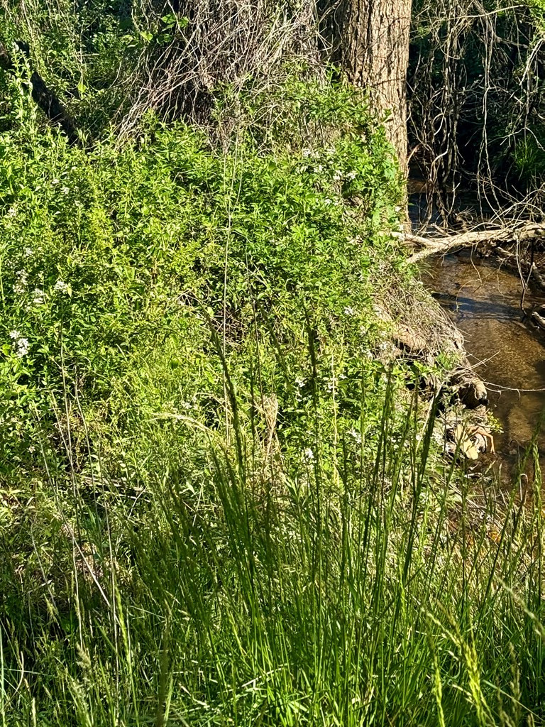 0 Tomotla Road Property Photo 2