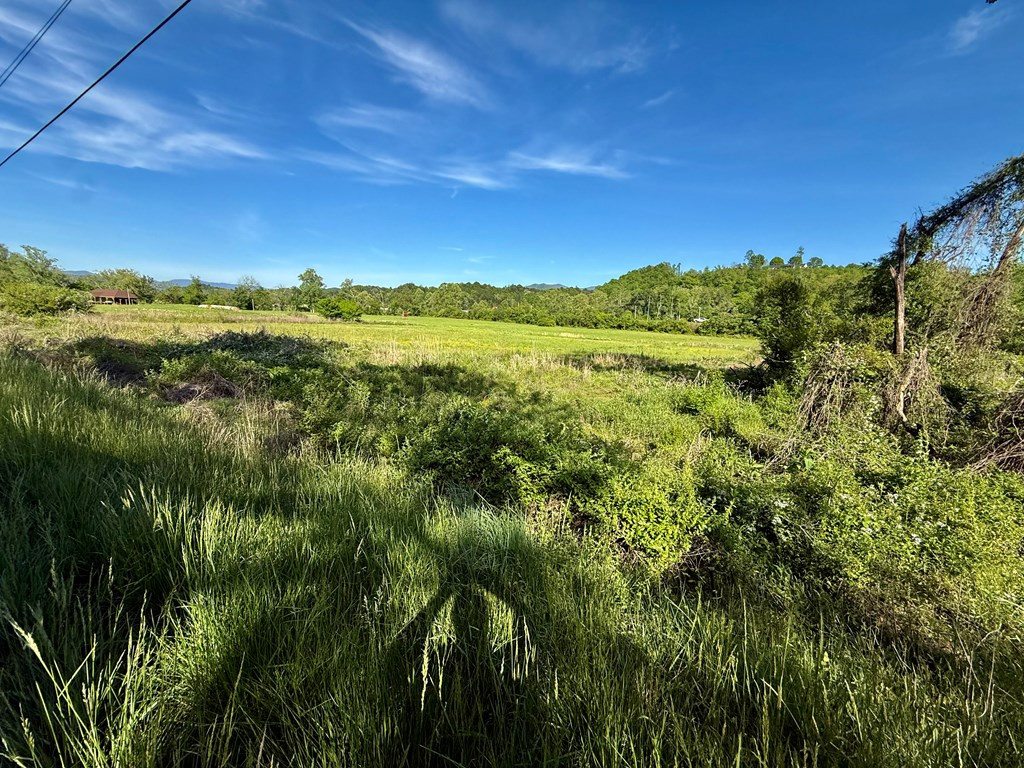 0 Tomotla Road Property Photo 4