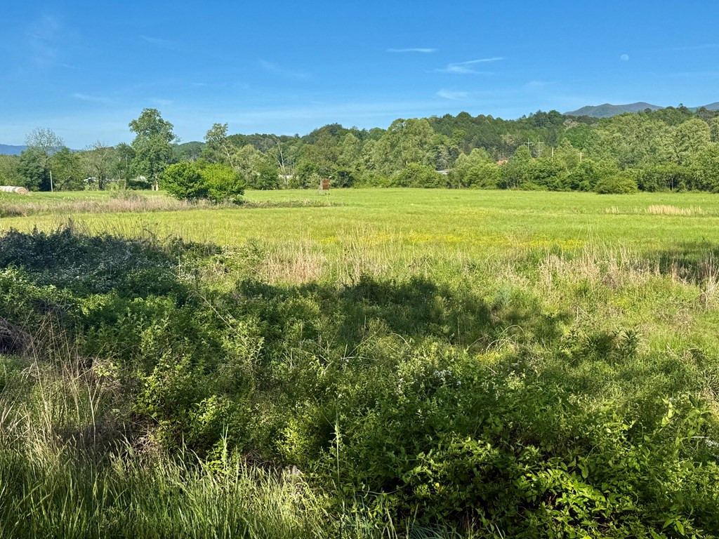 0 Tomotla Road Property Photo 6
