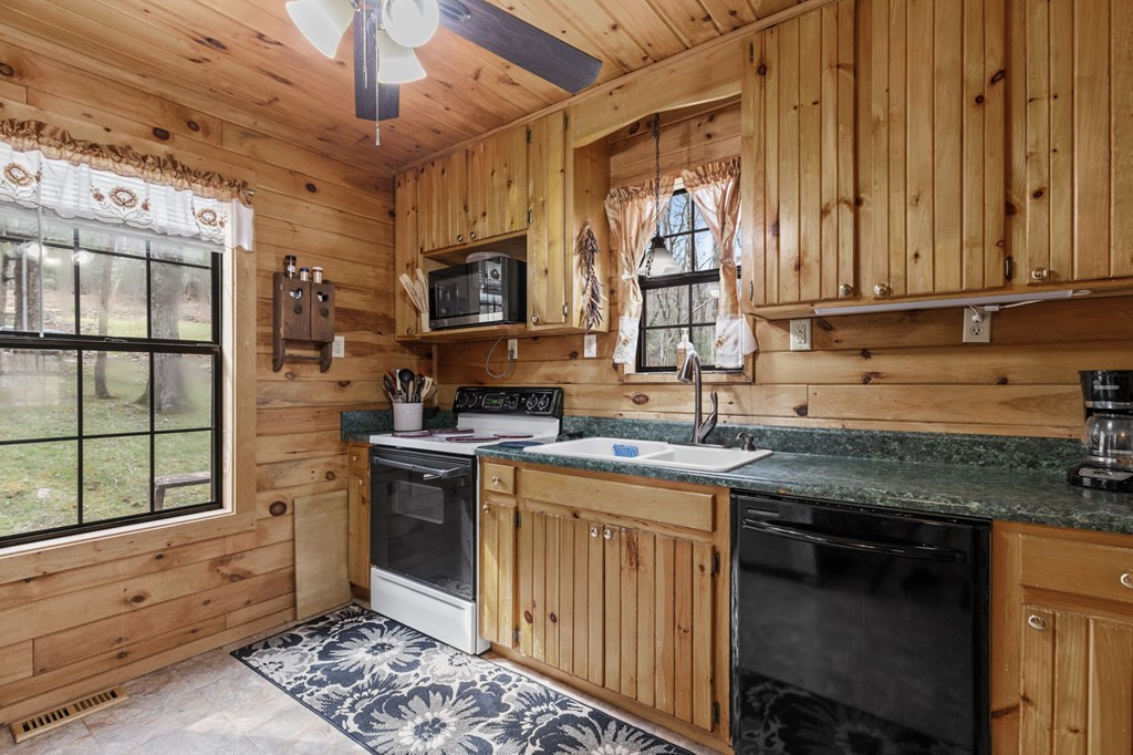 541 Black Ankle Creek Road Property Photo 19