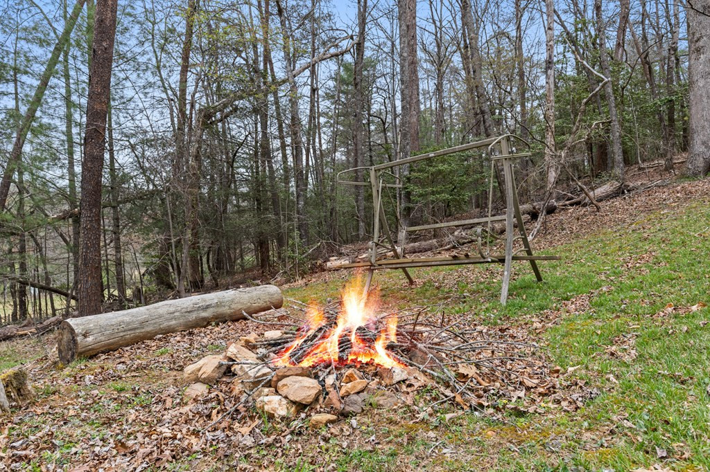 541 Black Ankle Creek Road Property Photo 29