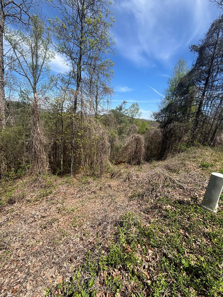 200 35 Carolina Fox Circle Property Photo 1