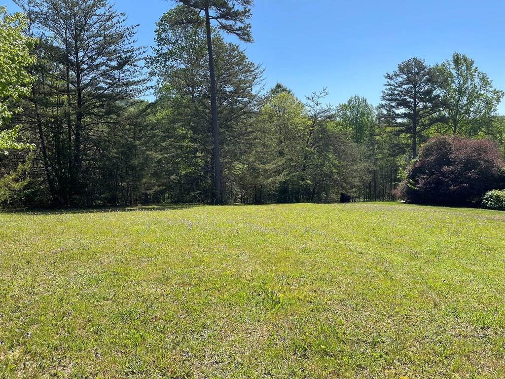 Lot 71a 71A Licklog Ridge Property Photo 1