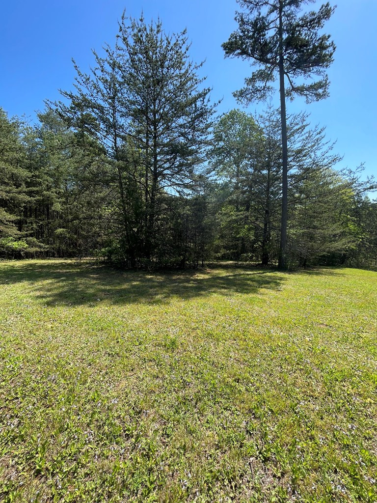 Lot 71a 71a Licklog Ridge Property Photo 6