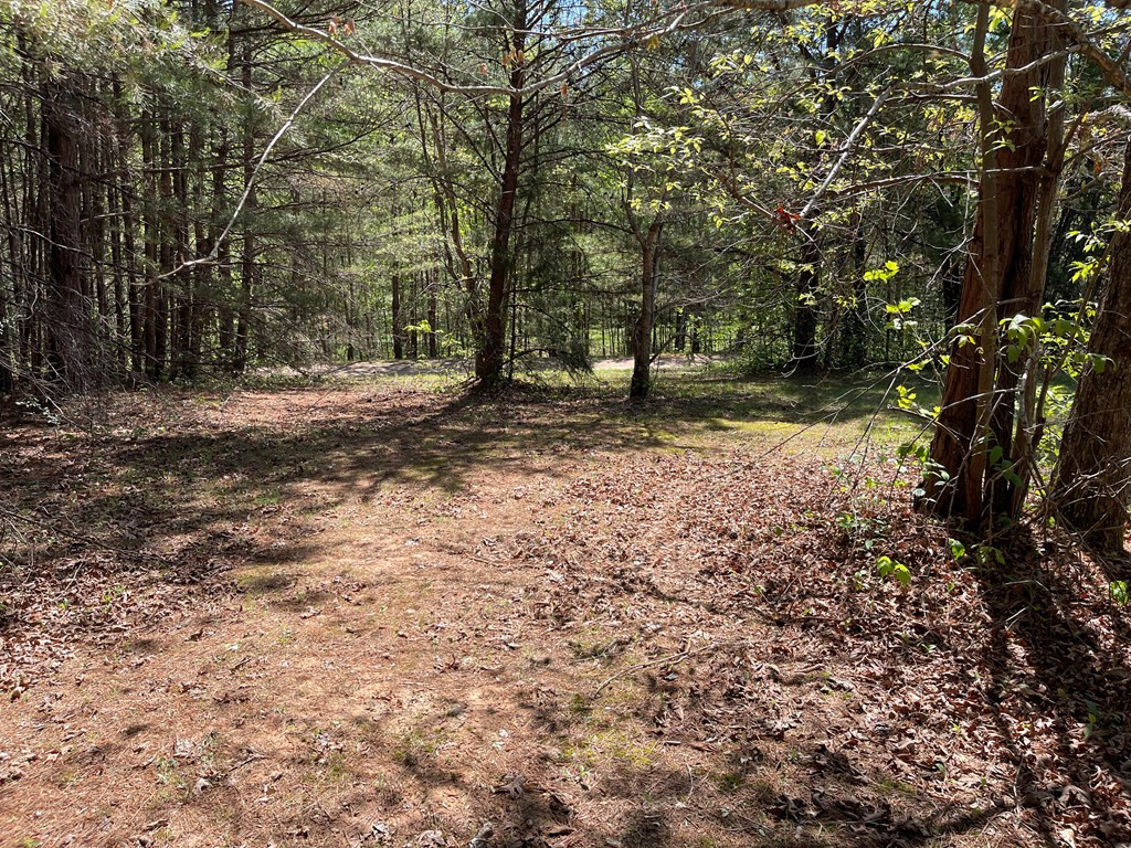 Lot 71a 71a Licklog Ridge Property Photo 7