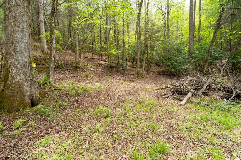 125 Milk And Honey Drive Property Photo 15
