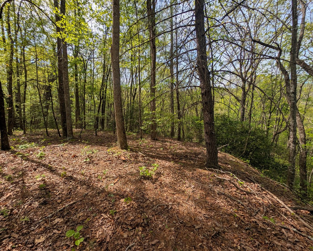 348 Atali Circle Property Photo 2