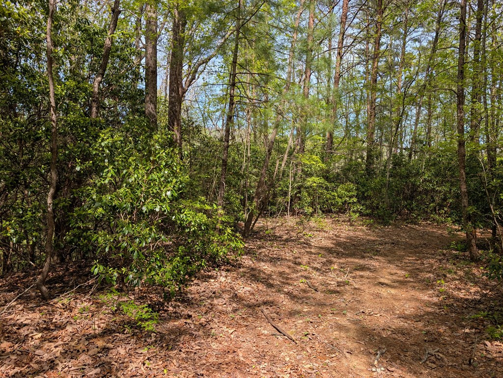 348 Atali Circle Property Photo 3