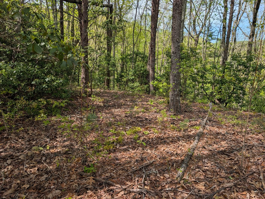 348 Atali Circle Property Photo 4