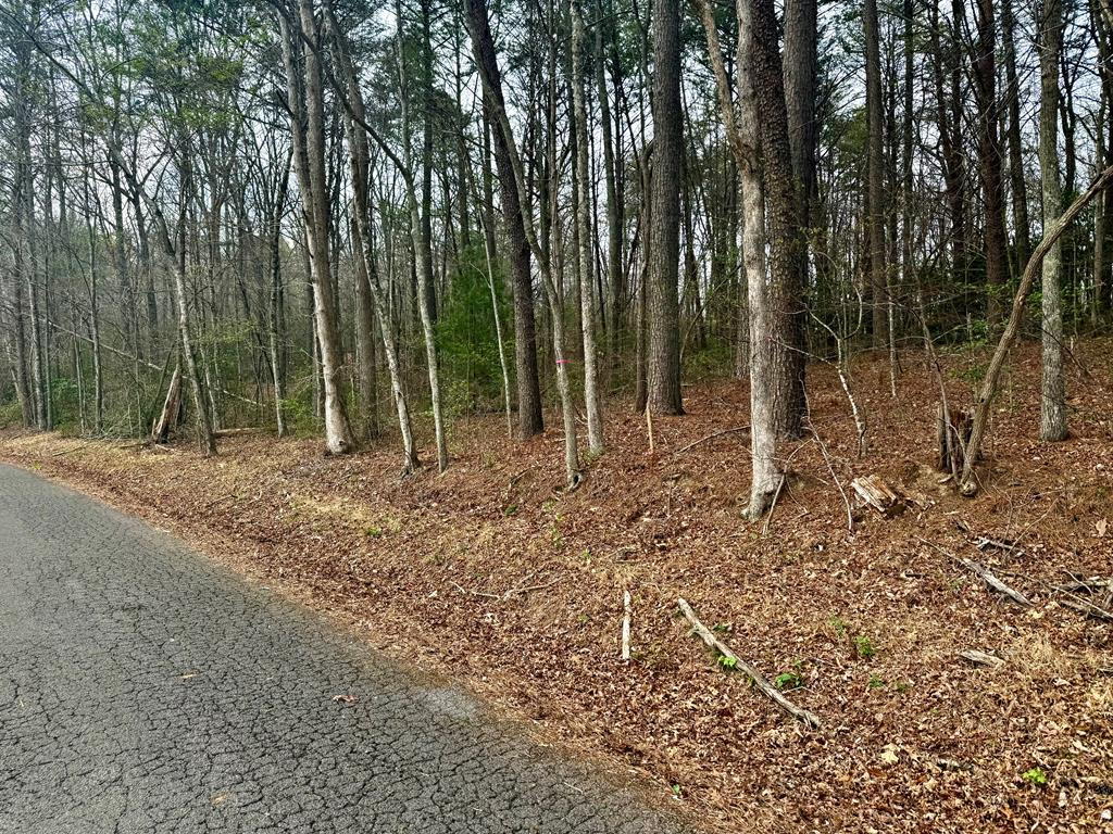 0 Tennessee 68 Property Photo 1