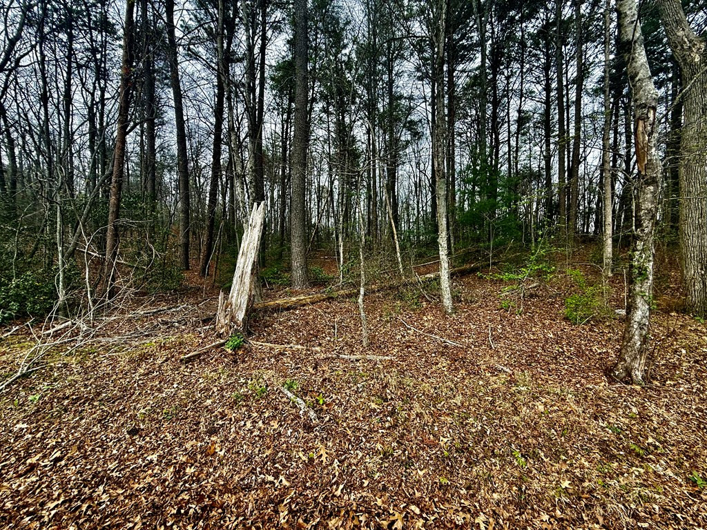 0 Tennessee 68 Property Photo 2