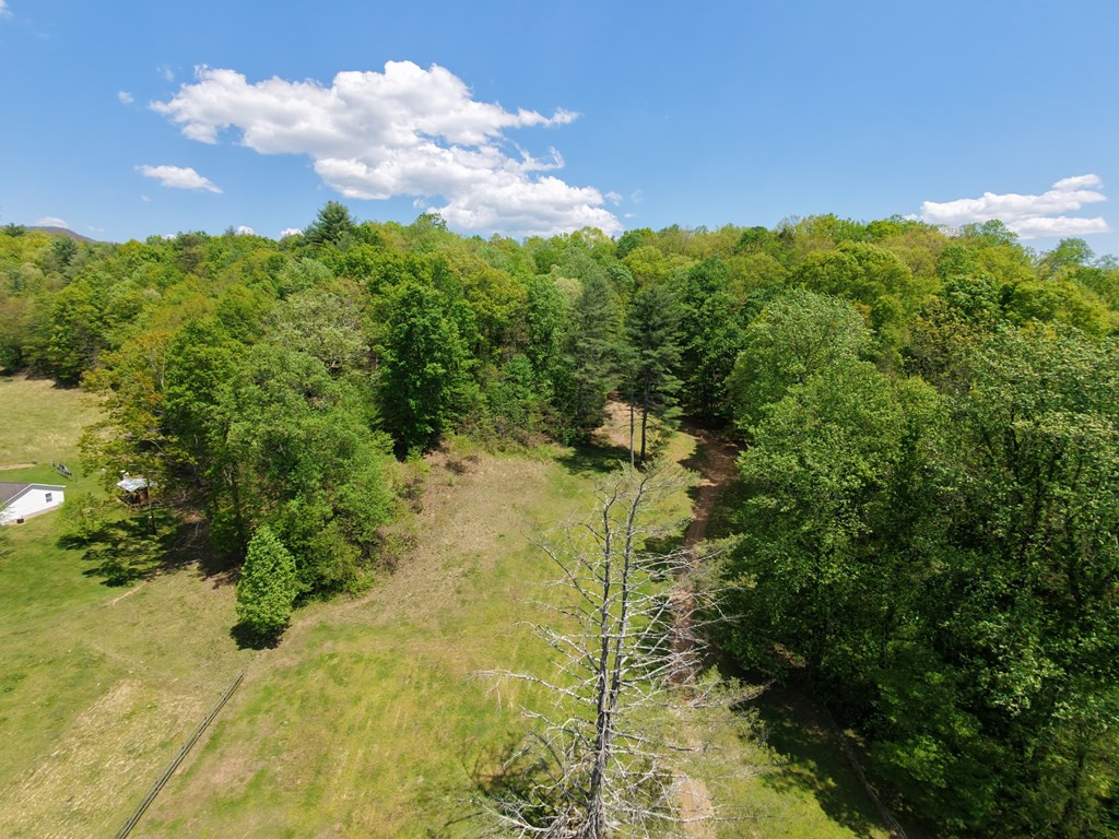 136 Gibson Road Property Photo 6