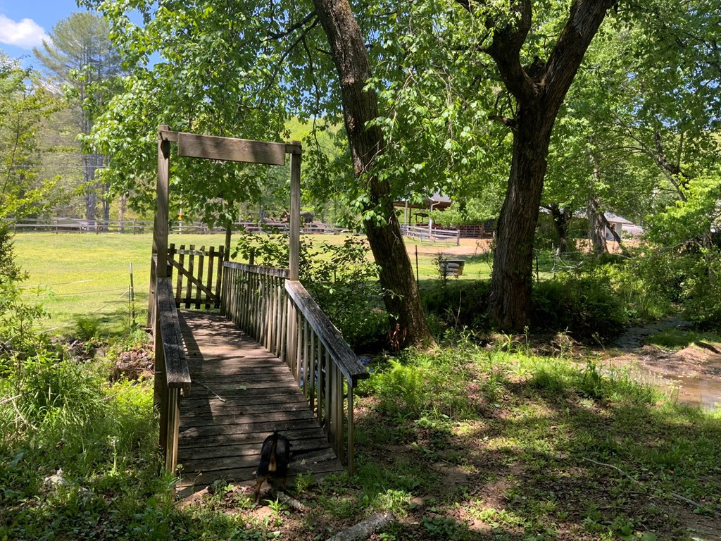 136 Gibson Road Property Photo 10