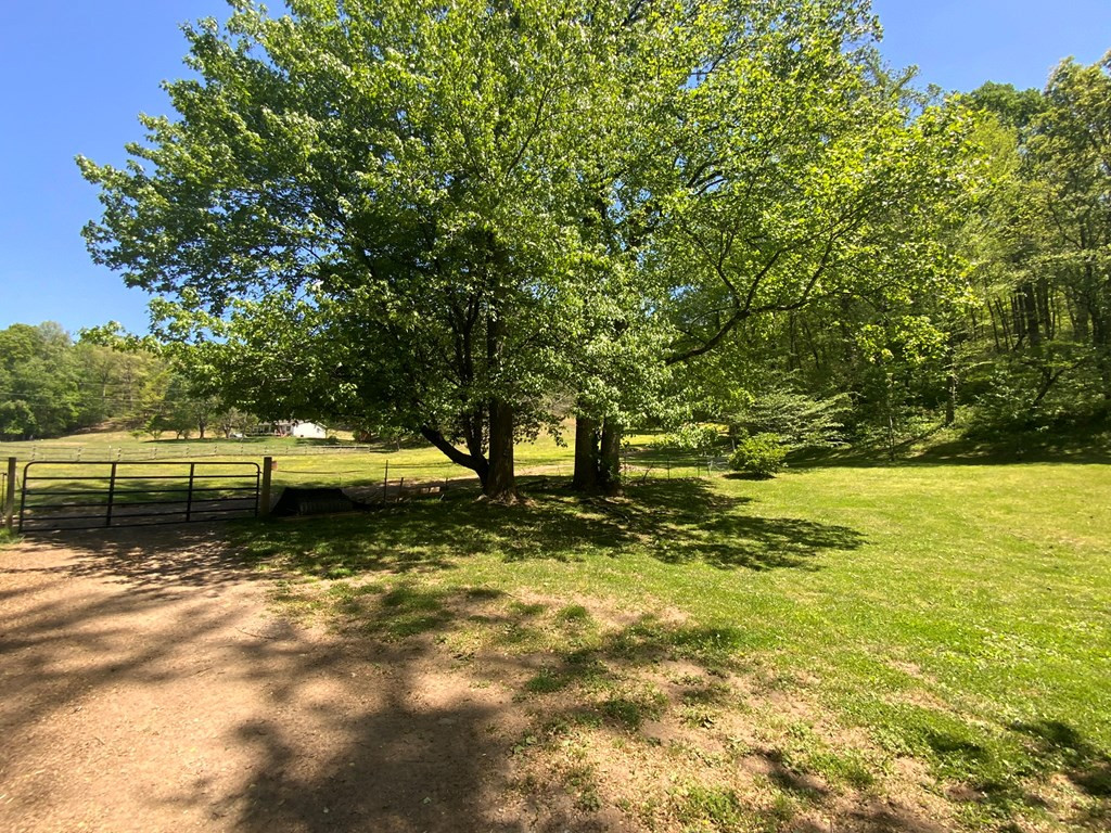 136 Gibson Road Property Photo 16