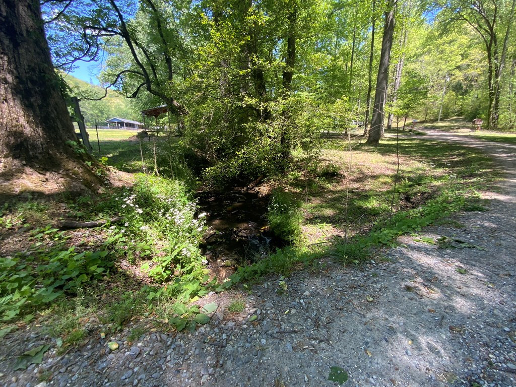 136 Gibson Road Property Photo 58