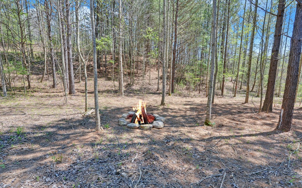 313 Burger Road Property Photo 29